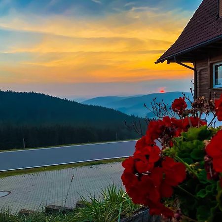 Pension Forsthaus Taele - Das Gaestehaus Vom Schwarzwaldgasthaus Salenhof Titisee-Neustadt Exterior foto