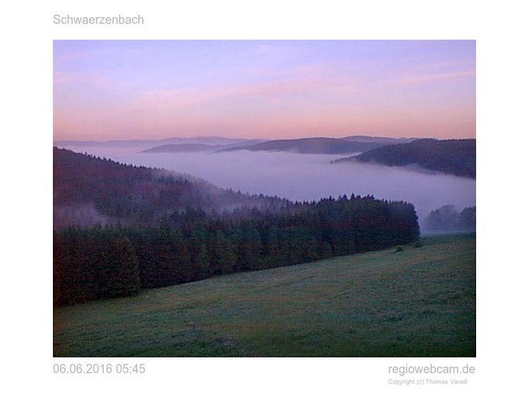 Pension Forsthaus Taele - Das Gaestehaus Vom Schwarzwaldgasthaus Salenhof Titisee-Neustadt Exterior foto