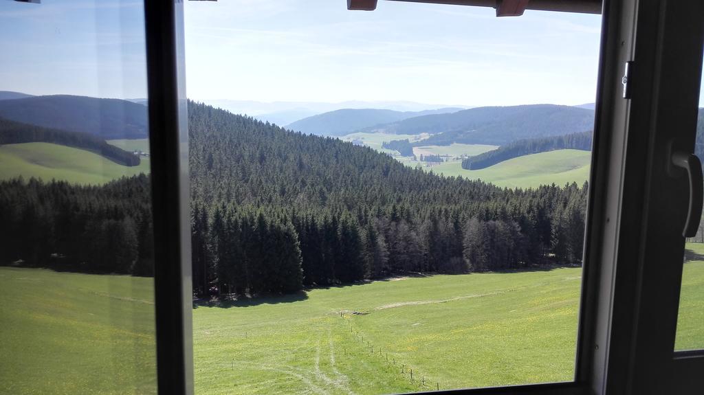 Pension Forsthaus Taele - Das Gaestehaus Vom Schwarzwaldgasthaus Salenhof Titisee-Neustadt Exterior foto
