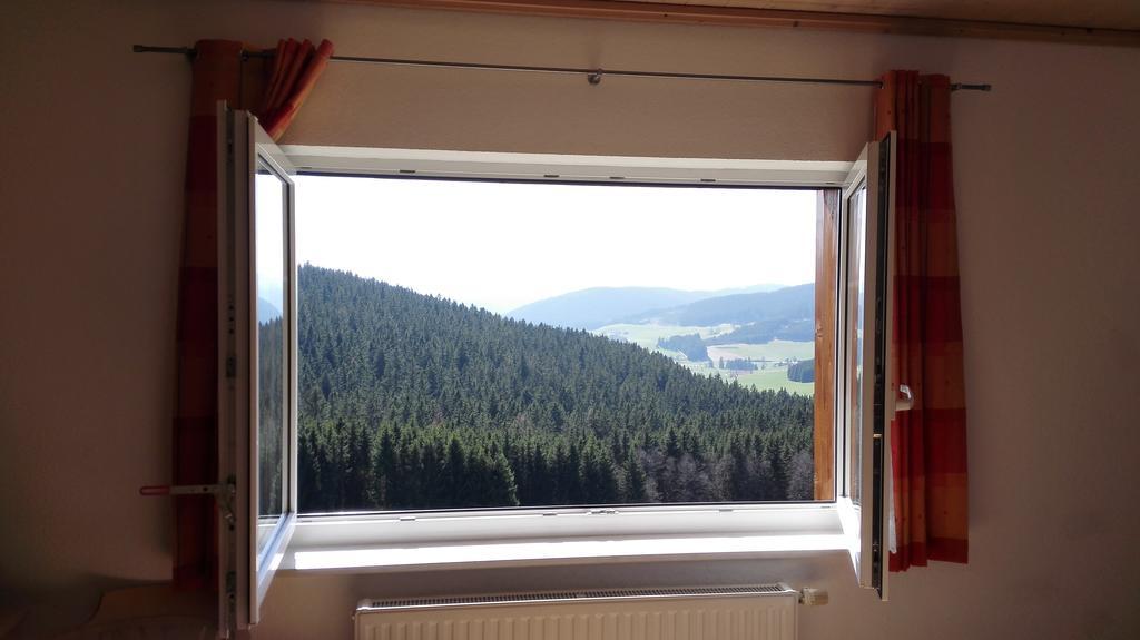 Pension Forsthaus Taele - Das Gaestehaus Vom Schwarzwaldgasthaus Salenhof Titisee-Neustadt Exterior foto