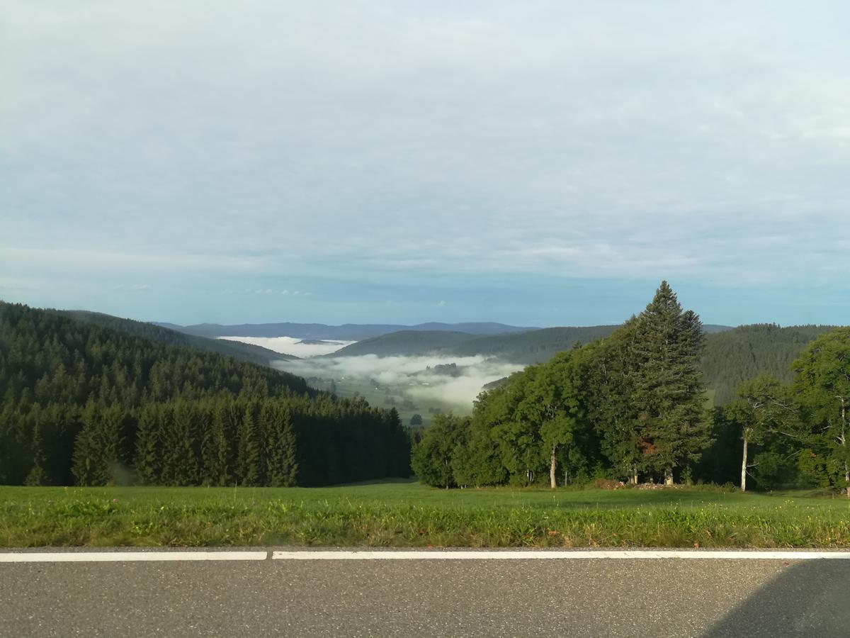 Pension Forsthaus Taele - Das Gaestehaus Vom Schwarzwaldgasthaus Salenhof Titisee-Neustadt Exterior foto