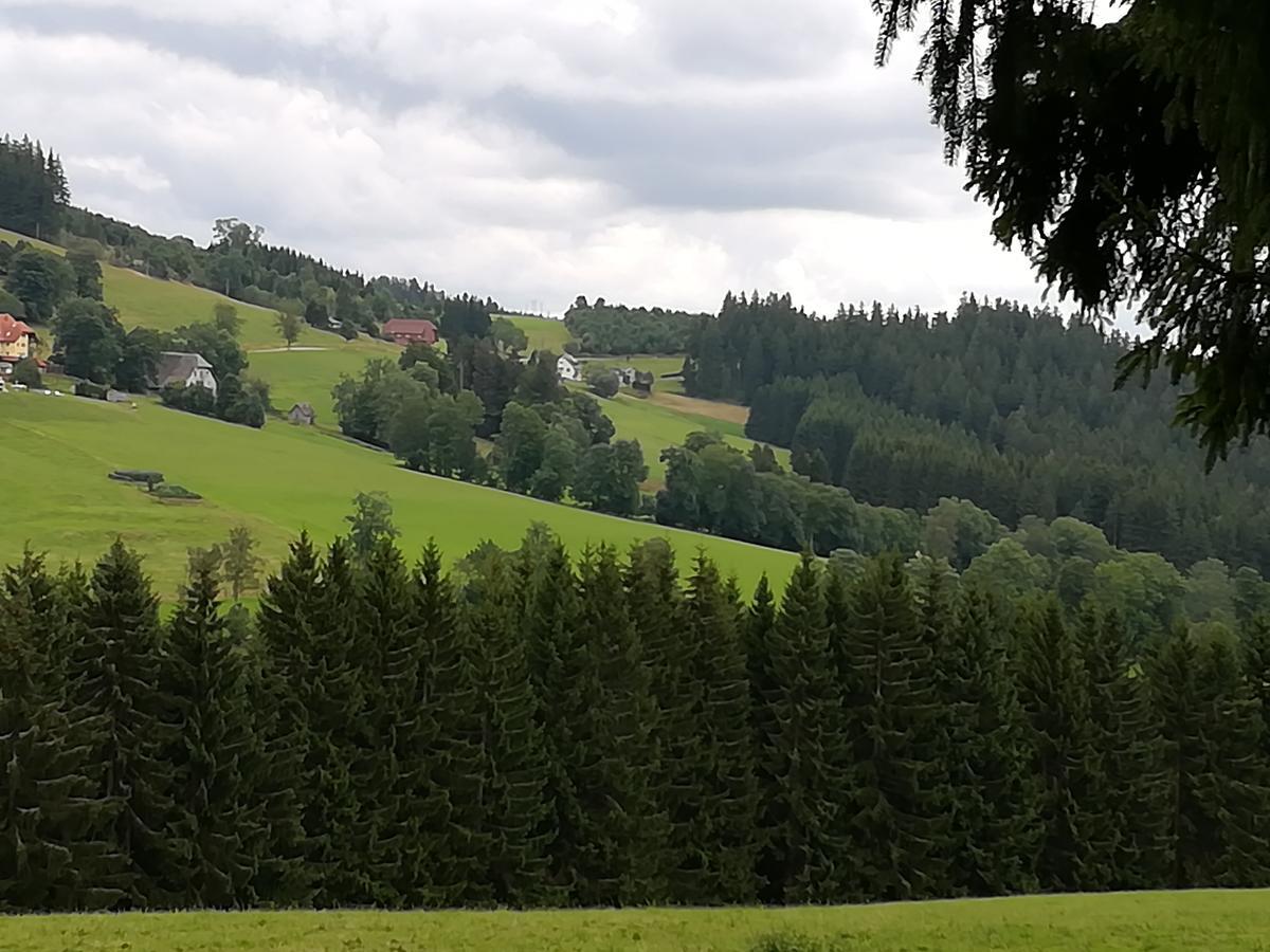 Pension Forsthaus Taele - Das Gaestehaus Vom Schwarzwaldgasthaus Salenhof Titisee-Neustadt Exterior foto