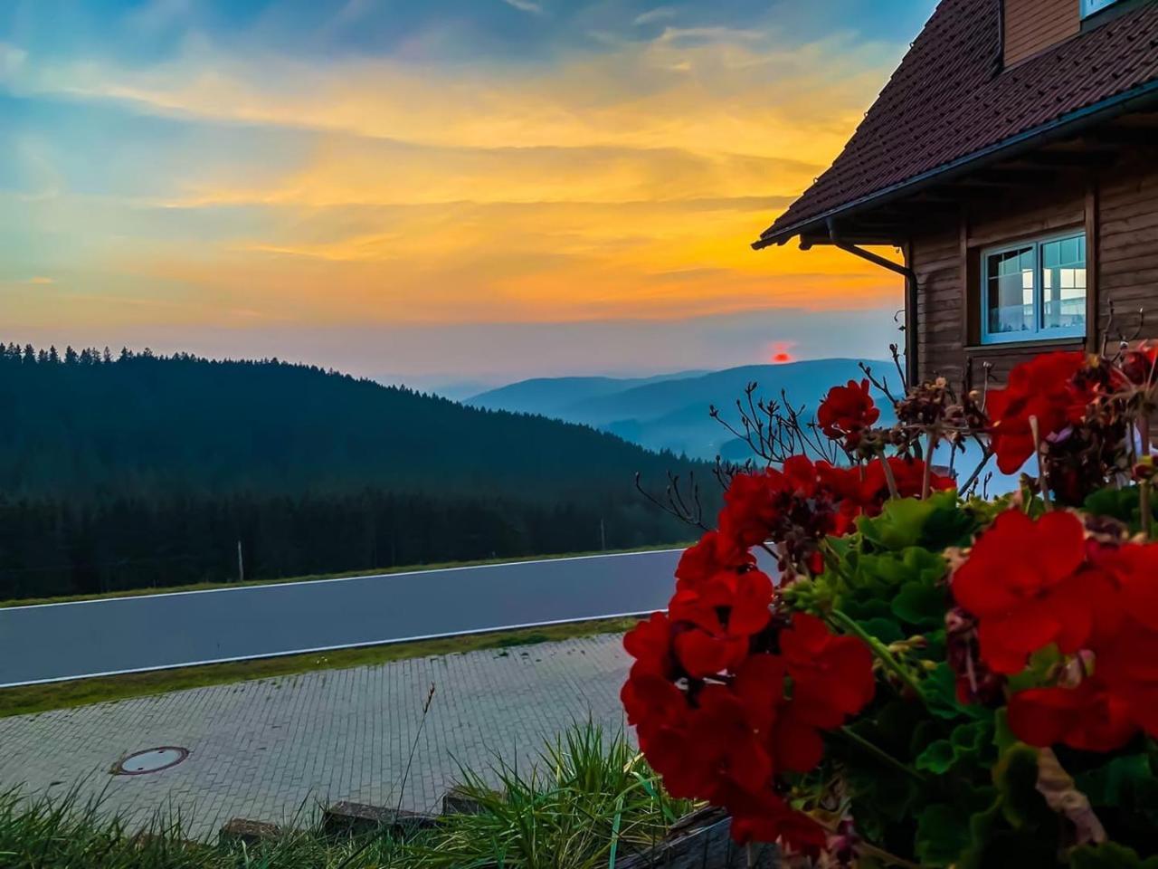 Pension Forsthaus Taele - Das Gaestehaus Vom Schwarzwaldgasthaus Salenhof Titisee-Neustadt Exterior foto